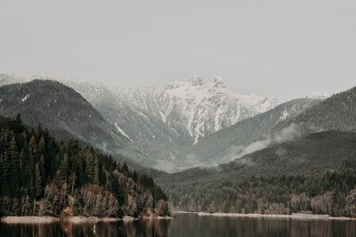 树木和山的风景
